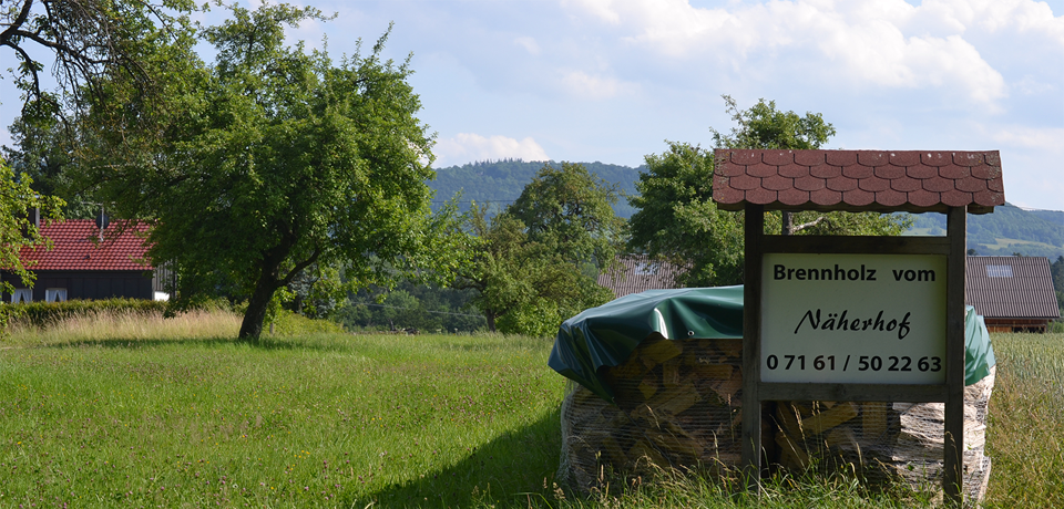 Näherhof Brennholz Buche und Esche