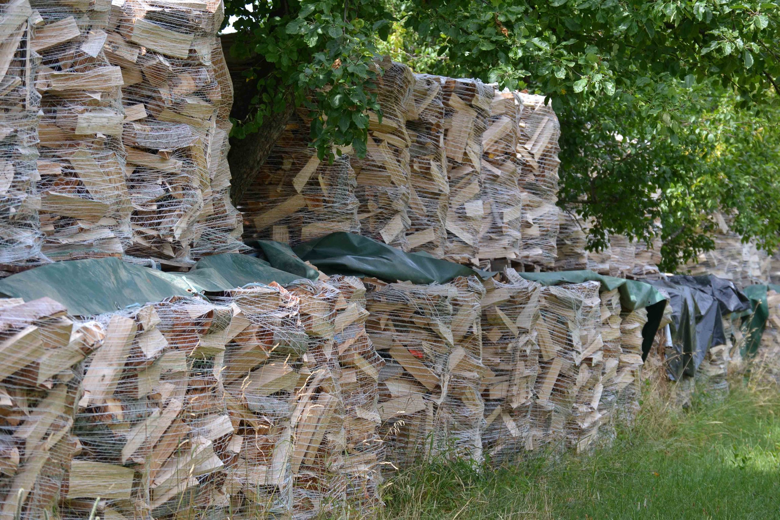 Brennholz Buche - Esche Näherhof